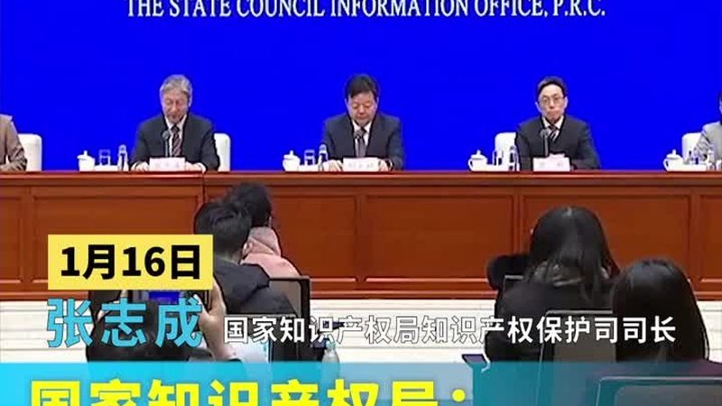 个人如何申请商标注册？流程解析与注意事项